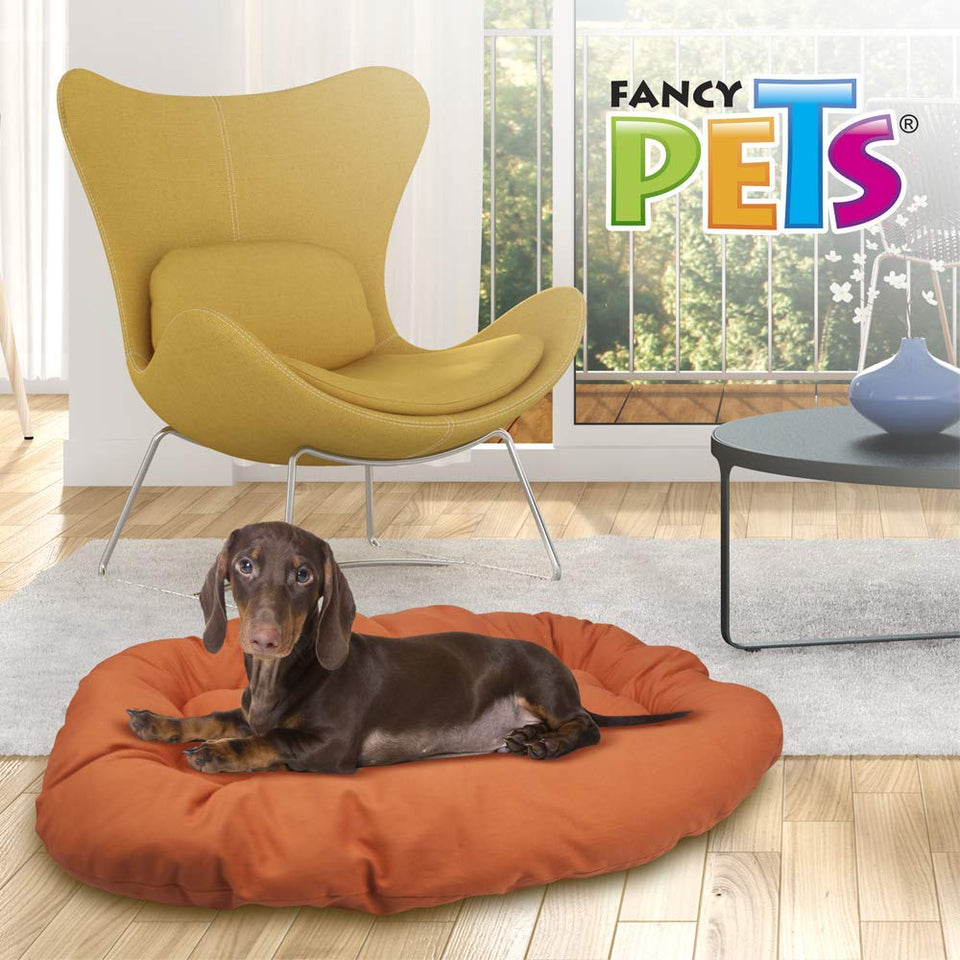 Fancypets TX11135 Cojín para Cama de Plástico, talla extra grande