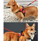 Atomzone Arnés para Perro ergonómico con Correa Ajustable - Máxima protección y Comodidad para tu Mascota en Todo Momento M (Mediana)
