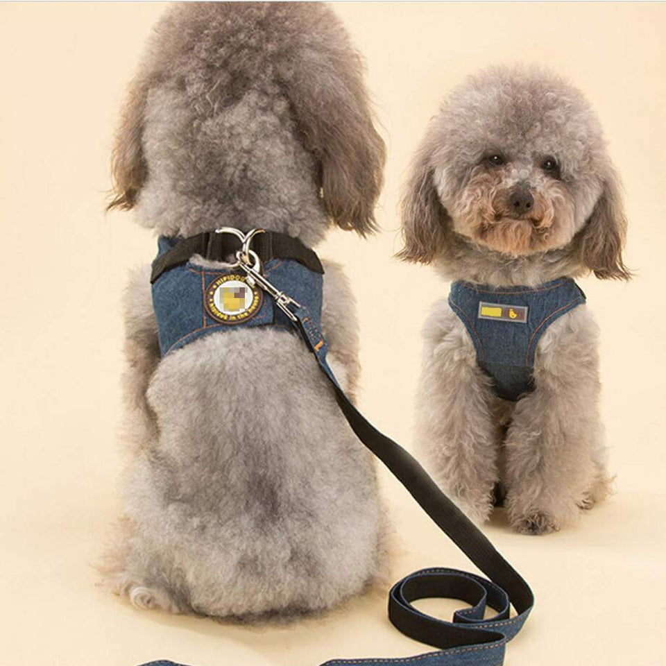 Atomzone Arnes para Perro, Adecuado para Perros Pequeños Perros Jóvenes o Gatos, Máxima protección y Comodidad para tu Mascota en Todo Momento (M (Mediana))