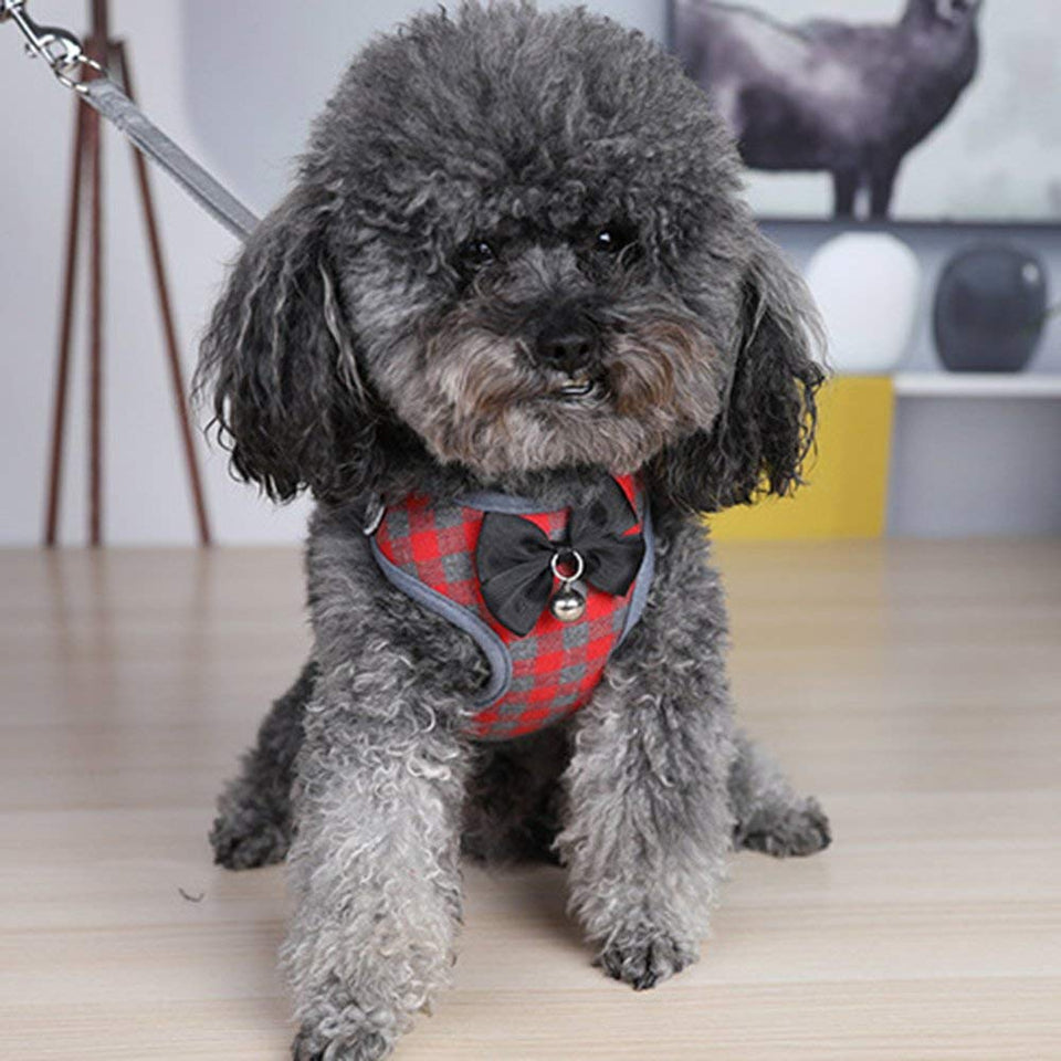 HuldaqueenMX Juego de arnés y Correa para Perros pequeños Arnés para Chaleco para Mascotas con Malla Bowknot Acolchado para Cachorros pequeños Perros Yorkshire Pug