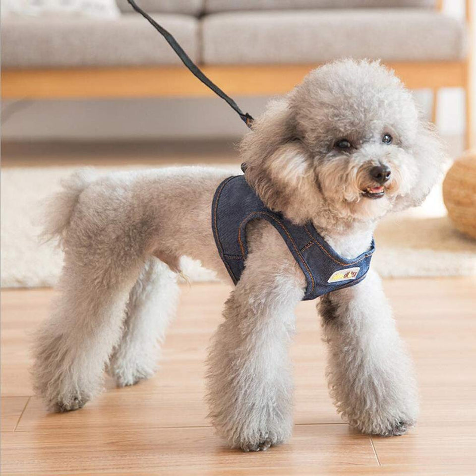 Atomzone Arnes para Perro, Adecuado para Perros Pequeños Perros Jóvenes o Gatos, Máxima protección y Comodidad para tu Mascota en Todo Momento (M (Mediana))