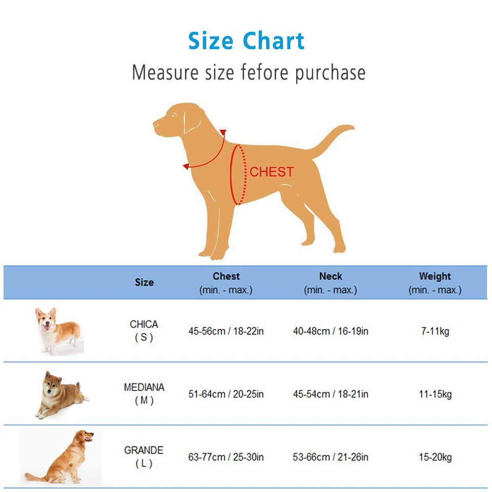 Atomzone Arnés para Perro ergonómico con Correa Ajustable - Máxima protección y Comodidad para tu Mascota en Todo Momento M (Mediana)
