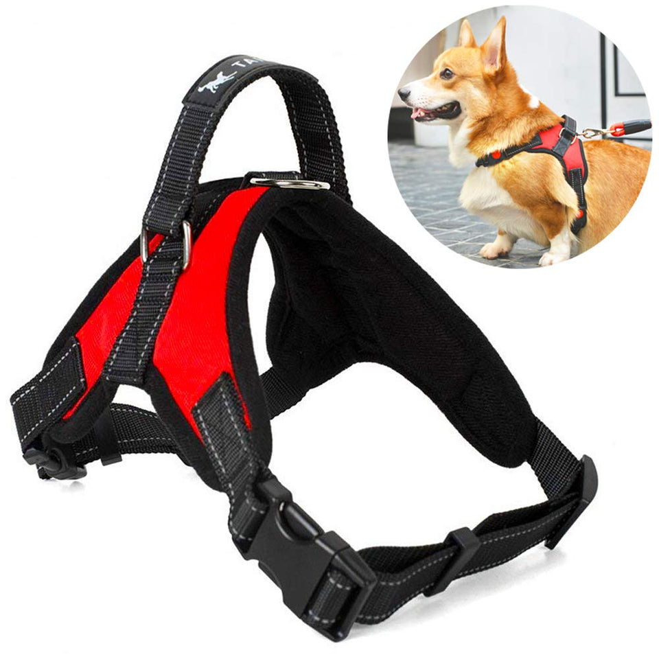 Atomzone Arnés para Perro ergonómico con Correa Ajustable - Máxima protección y Comodidad para tu Mascota en Todo Momento M (Mediana)