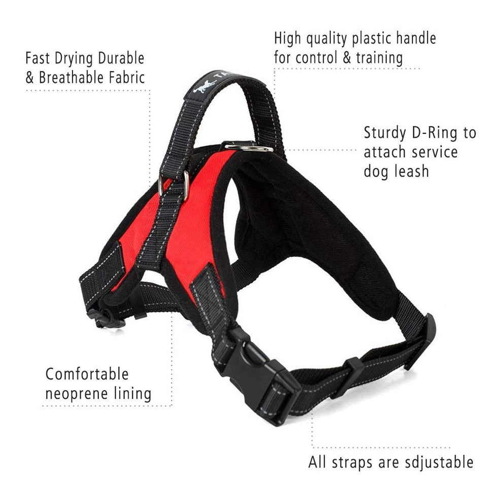 Atomzone Arnés para Perro ergonómico con Correa Ajustable - Máxima protección y Comodidad para tu Mascota en Todo Momento M (Mediana)