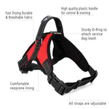 Atomzone Arnés para Perro ergonómico con Correa Ajustable - Máxima protección y Comodidad para tu Mascota en Todo Momento M (Mediana)