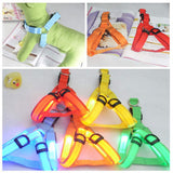 Festnight Arnés para perro con luz LED sin tirones ajustable al aire última intervensión para mascotas correa de pecho luminosa para perros de fácil control para perros pequeños, medianos y grandes mejores suministros para mascotas, Azul, Mediano