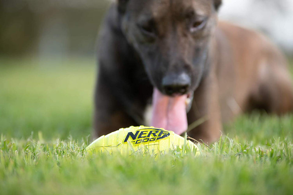 Nerf Juguete de Goma para Perro Dog Squeak, Sencillo, Verde, Large