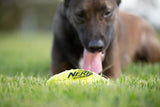 Nerf Juguete de Goma para Perro Dog Squeak, Sencillo, Verde, Large