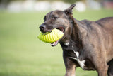 Nerf Juguete de Goma para Perro Dog Squeak, Sencillo, Verde, Large