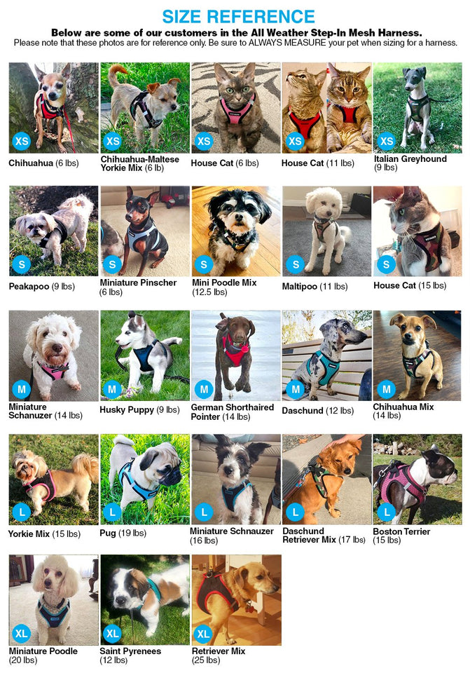 Arnés de Malla para Perros, Best Pet Supplies, Inc., Voyager All Weather Step-in Color Base Azul, Extra Pequeño
