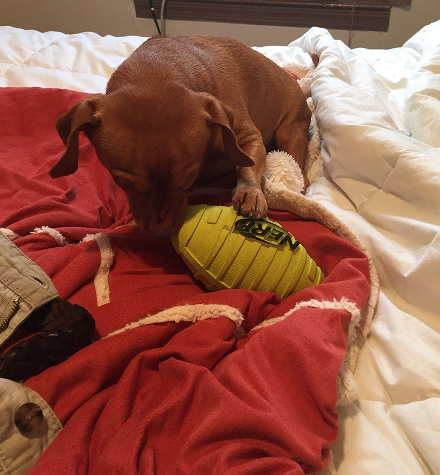 Nerf Juguete de Goma para Perro Dog Squeak, Sencillo, Verde, Large