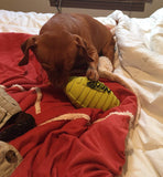 Nerf Juguete de Goma para Perro Dog Squeak, Sencillo, Verde, Large