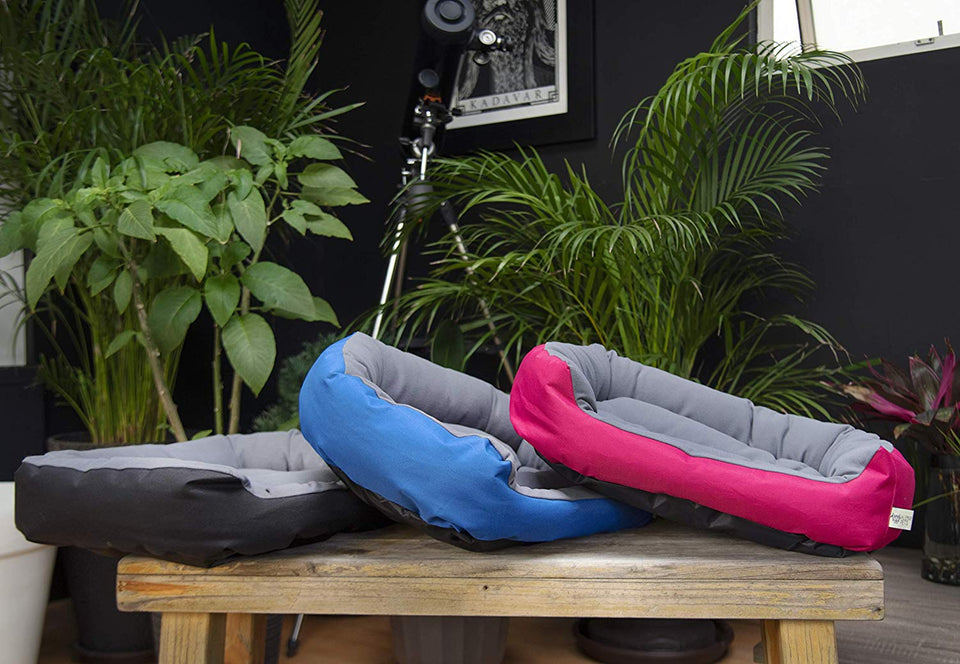 ALEBRIPETS Cama para Perro, Exterior a Prueba de Agua, cómoda, Lavable, Resistente a rasguños, 100% Mexicana (tamaño y Color a Escoger)