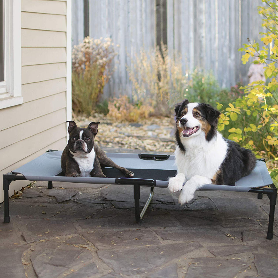 K&H Pet Products Original Pet Cot Elevated Pet Bed Extra X-Large Gray/Mesh 32"x50" x 9"