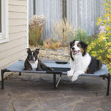 K&H Pet Products Original Pet Cot Elevated Pet Bed Extra X-Large Gray/Mesh 32"x50" x 9"