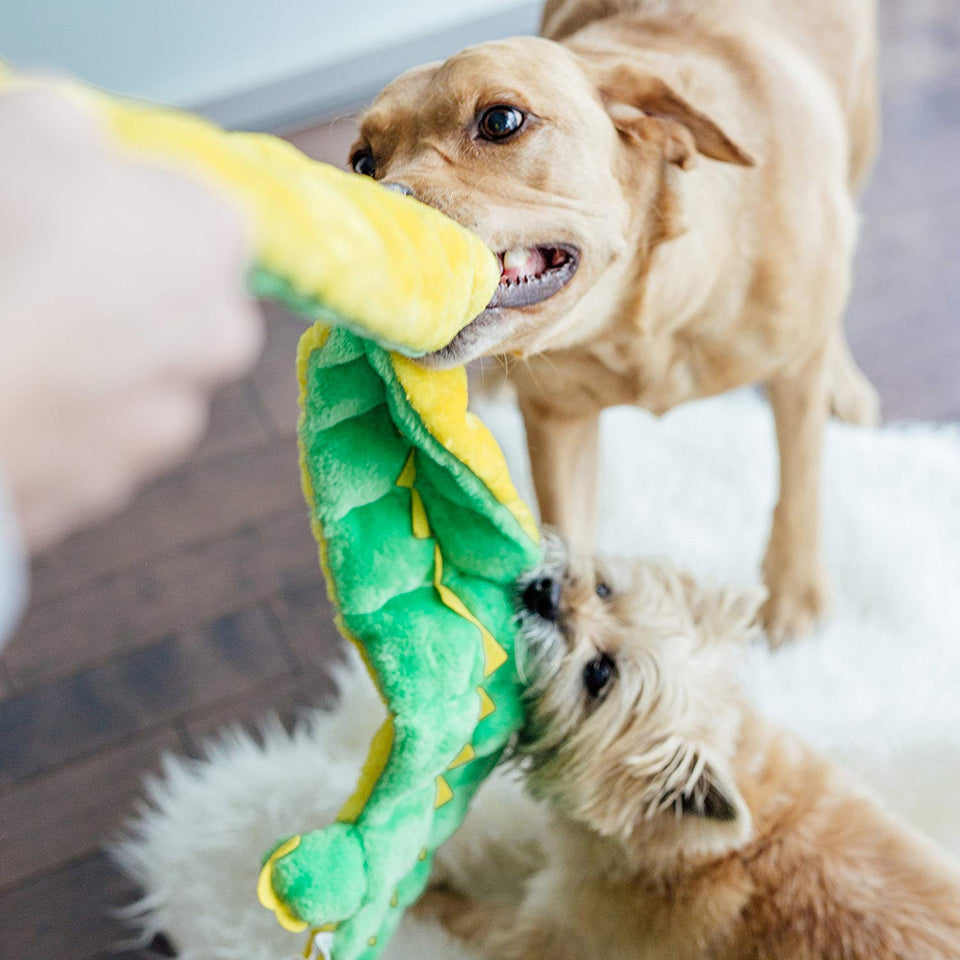 Outward Hound Squeaker Matz Squeaky Dog Toy – Interactivo Cuddly Gator suave juguete para perros – resistente y duradero peluche esponjoso juguete para mascotas impresionantes, Lagarto, Ginormous Gator, Ginormous